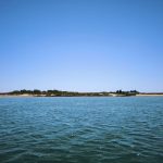 Oficina Preservar o mar