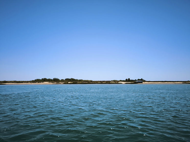 Oficina Preservar o mar