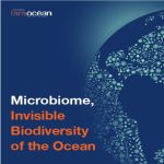 Exposição Itinerante Microbioma a Biodiversidade Invisível do Oceano