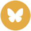 bluesky icon