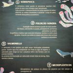 Exposição Socorro, sou um peixe: viver a aventura de explorar o Oceano!