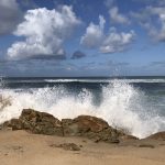 Preservar o mar