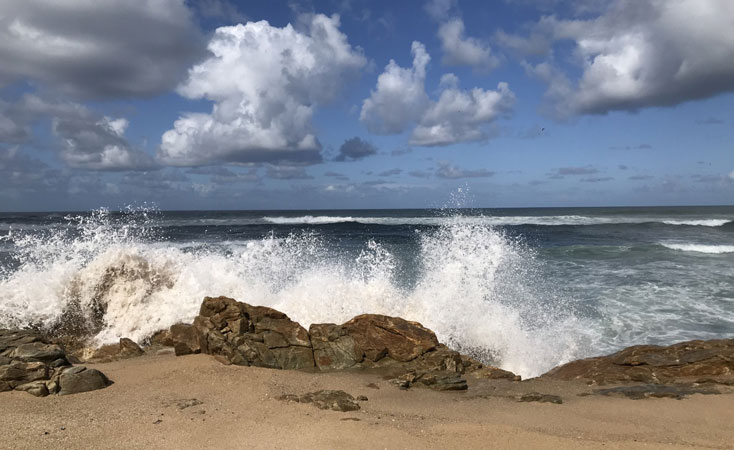 Preservar o mar