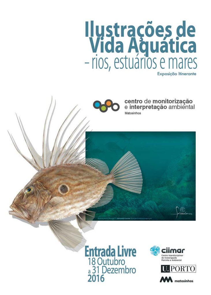 Cartaz Exposição Ilustrações de Vida Aquática